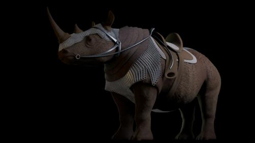 Rhino preview image